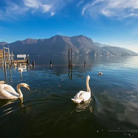Apartment La Perla Del Ticino 8